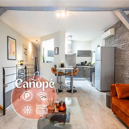 Le Canope - T3 Duplex, 2 Salles D'Eau, Hypercentre Castres  Exterior foto