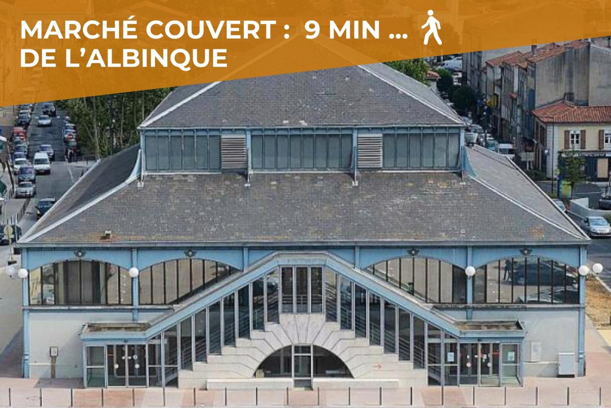 Le Canope - T3 Duplex, 2 Salles D'Eau, Hypercentre Castres  Exterior foto