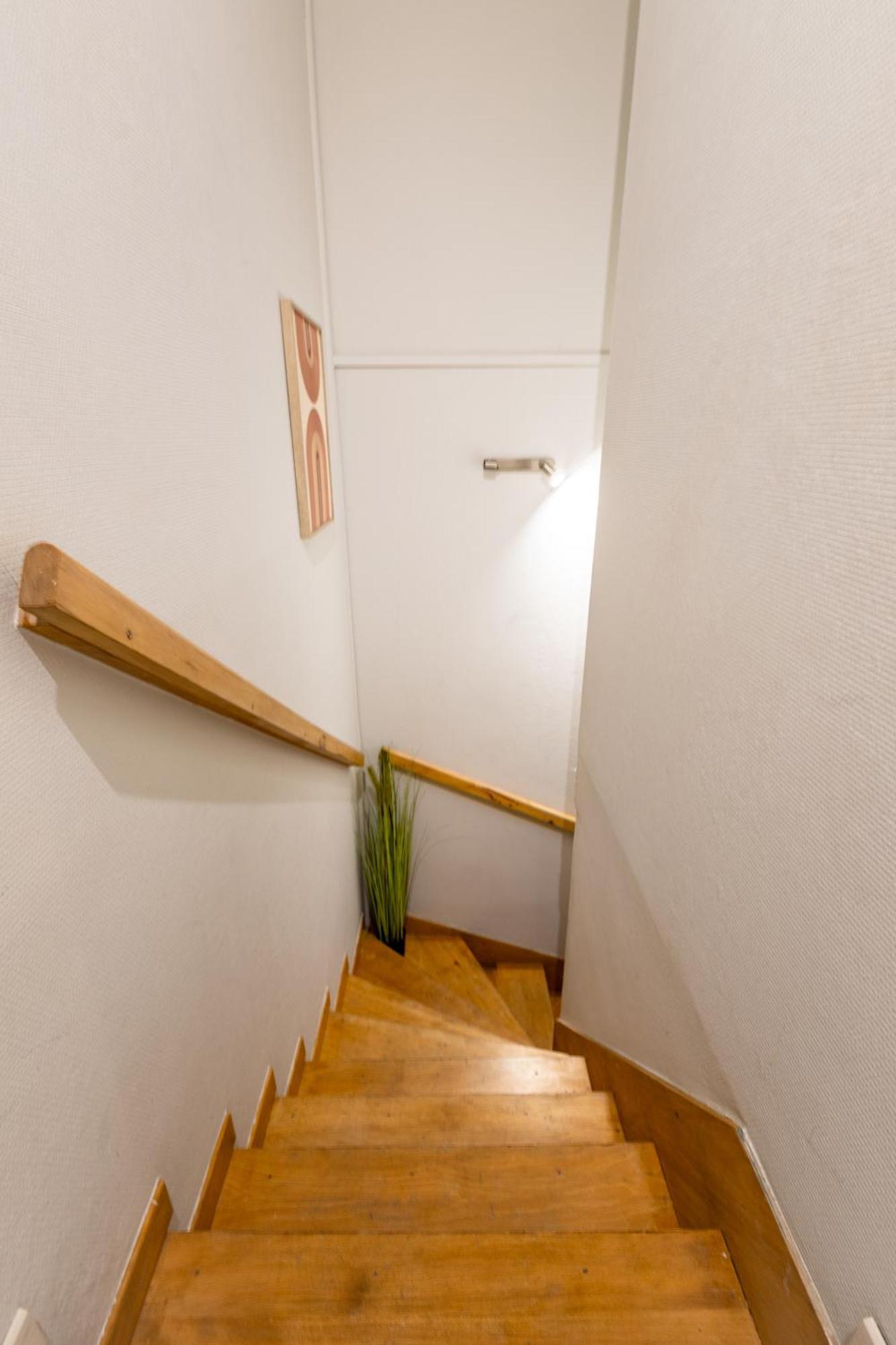 Le Canope - T3 Duplex, 2 Salles D'Eau, Hypercentre Castres  Exterior foto