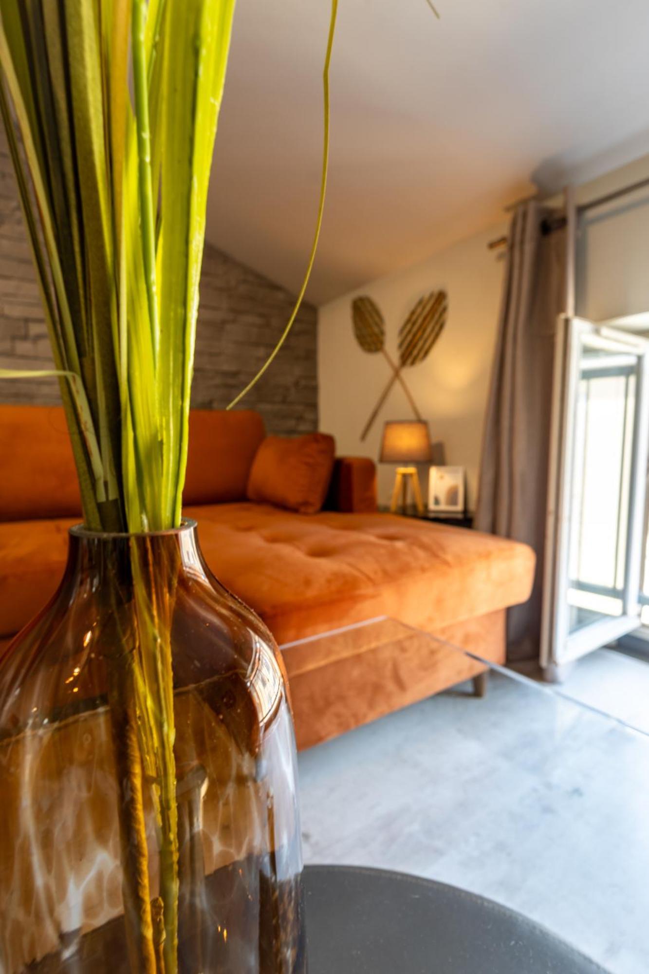 Le Canope - T3 Duplex, 2 Salles D'Eau, Hypercentre Castres  Exterior foto