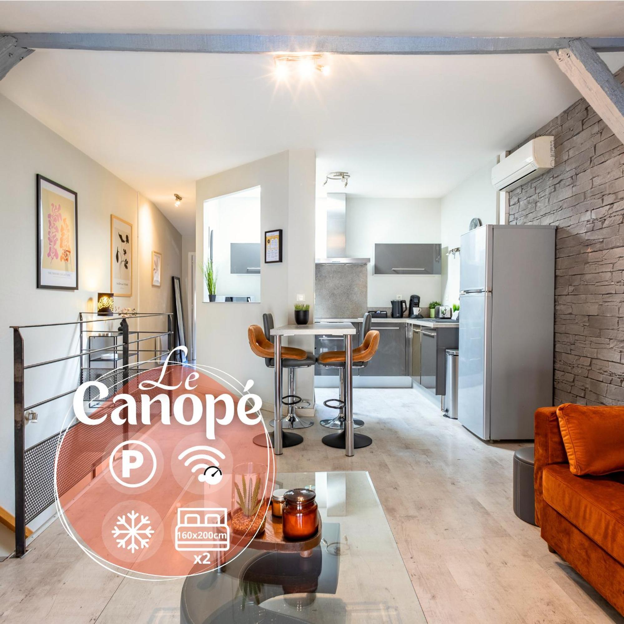 Le Canope - T3 Duplex, 2 Salles D'Eau, Hypercentre Castres  Exterior foto